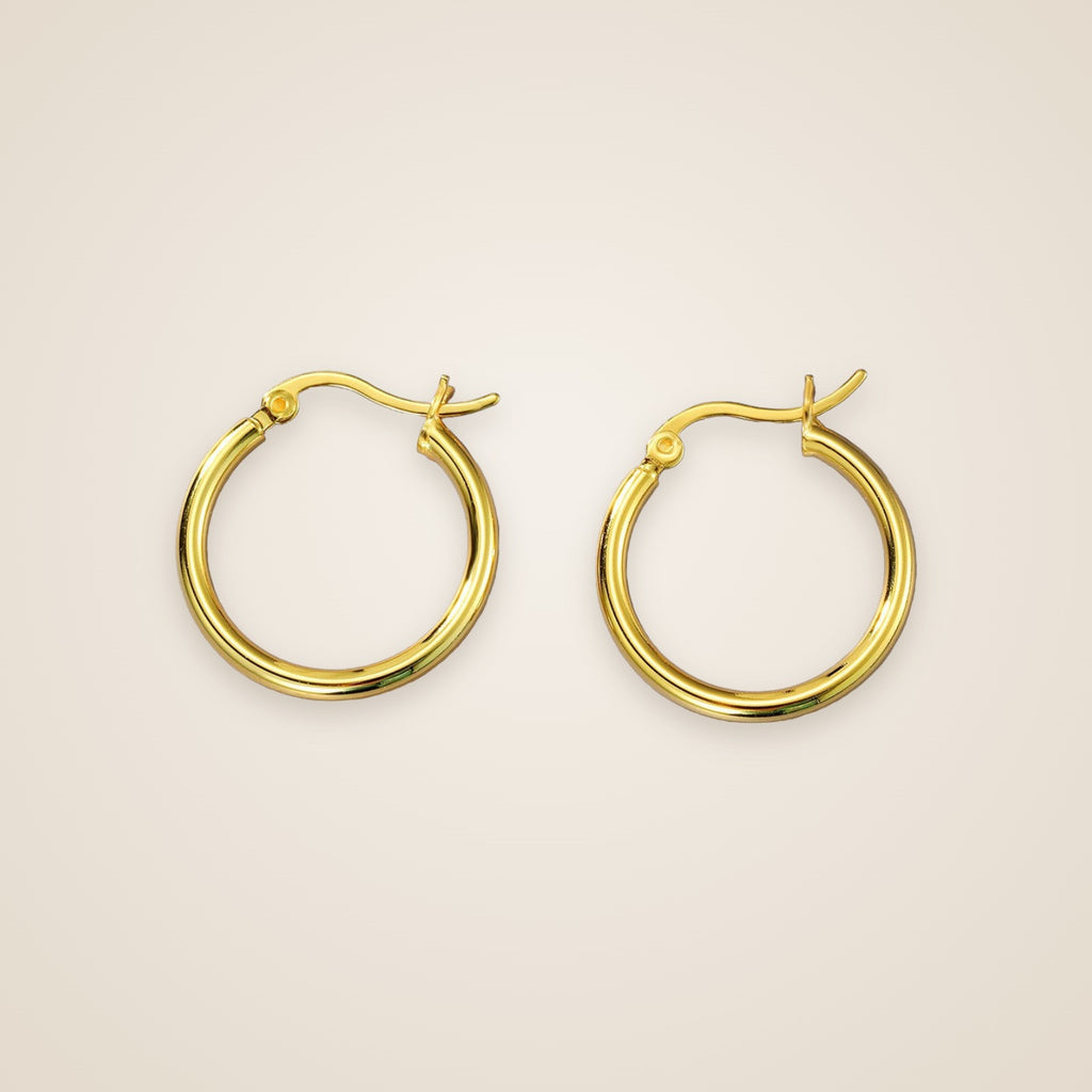 Nina Classic Hoop Earrings — view 1