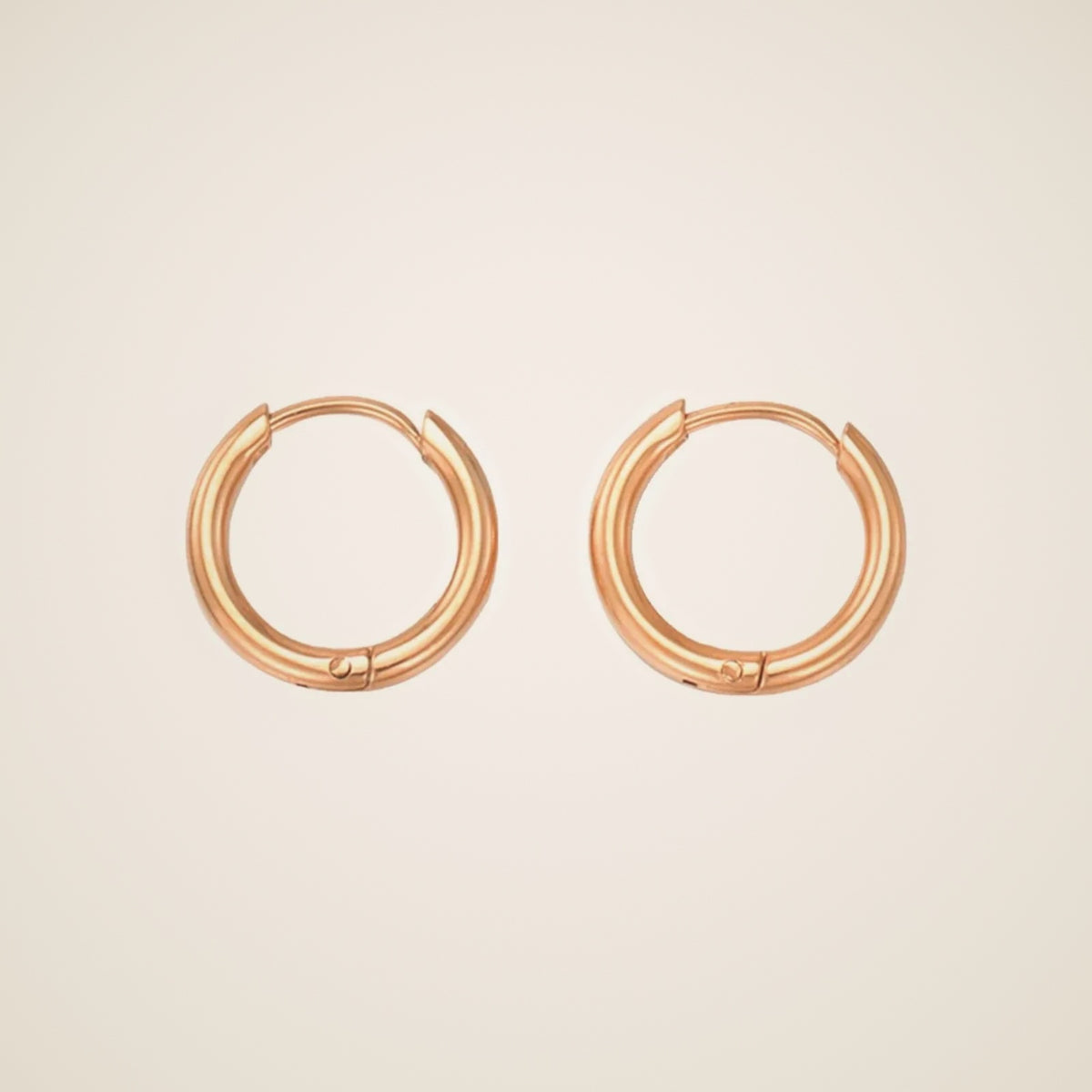 Pia Everyday Hoop Earrings — view 1
